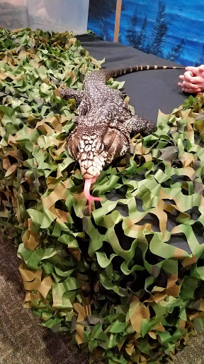 Event Venue «Viridian Event Center», reviews and photos, 8030 S 1825 W, West Jordan, UT 84088, USA