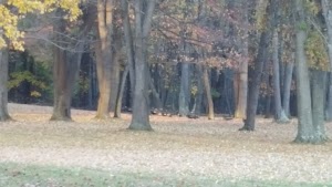 Tallmadge Lions Park - photo 55
