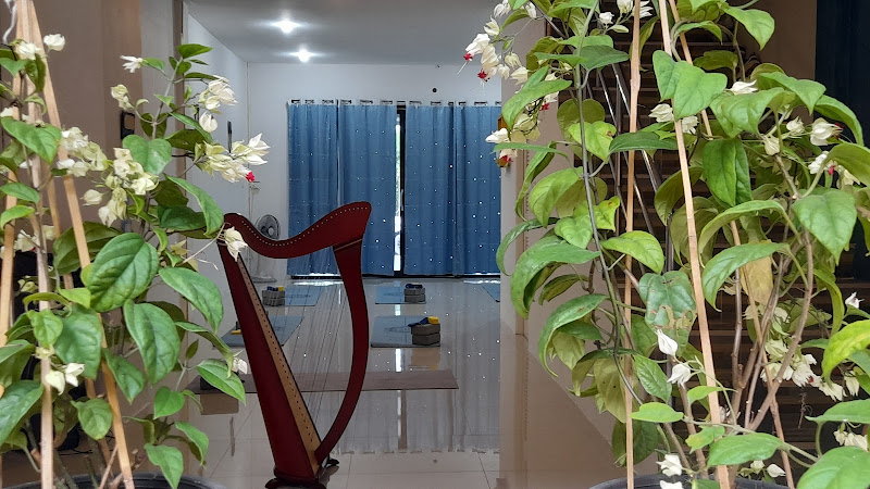 Phuket International Yoga Academy, photo 2