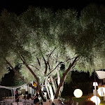 Photo n°2 de l'avis de Giorgio.i fait le 24/07/2018 à 18:31 sur le  Ambra Day à San Teodoro