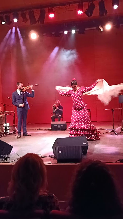 Auditorio de Boadilla del Monte