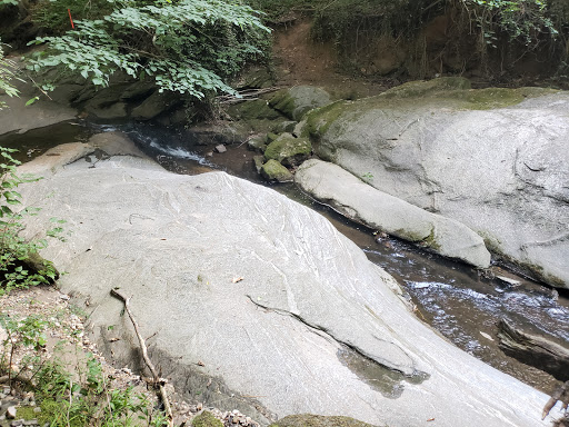 Nature Preserve «Daniel Johnson Nature Preserve», reviews and photos, 1301 Beech Valley Rd NE, Atlanta, GA 30306, USA