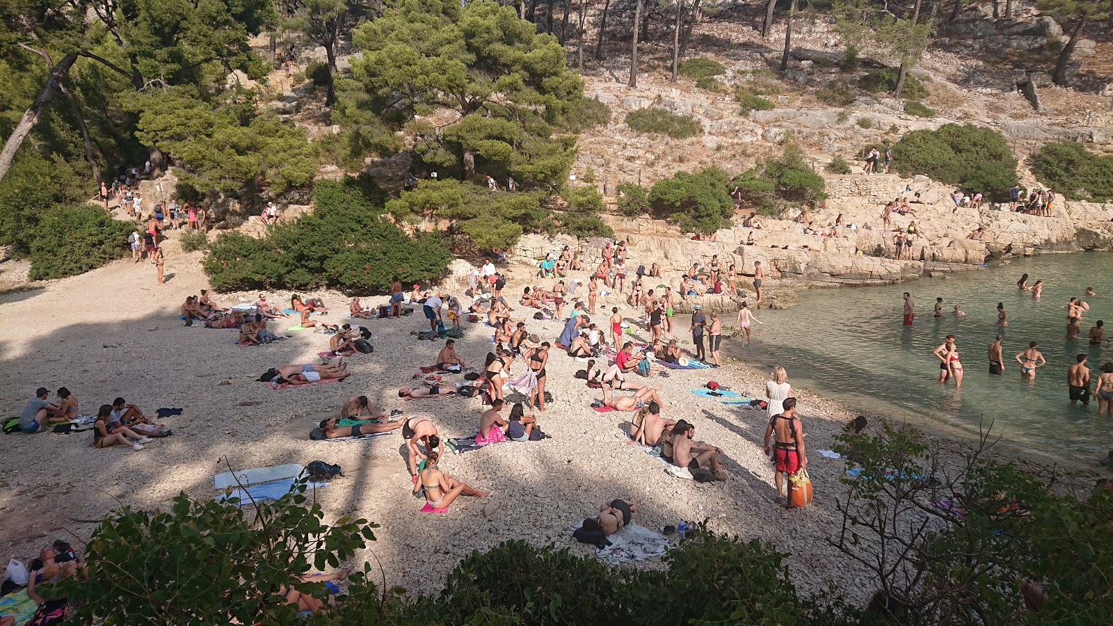 Foto di Calanque de Port Pin sorretto da scogliere