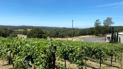 Winery «Fawnridge Winery», reviews and photos, 5560 Fawnridge Rd, Auburn, CA 95602, USA