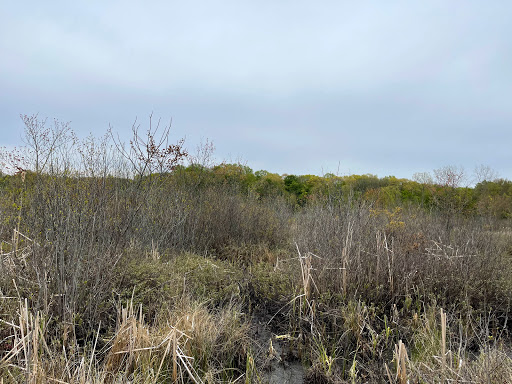 Nature Preserve «Mud Lake Bog Nature Preserve», reviews and photos, 905 E Elm Valley Rd, Buchanan, MI 49107, USA