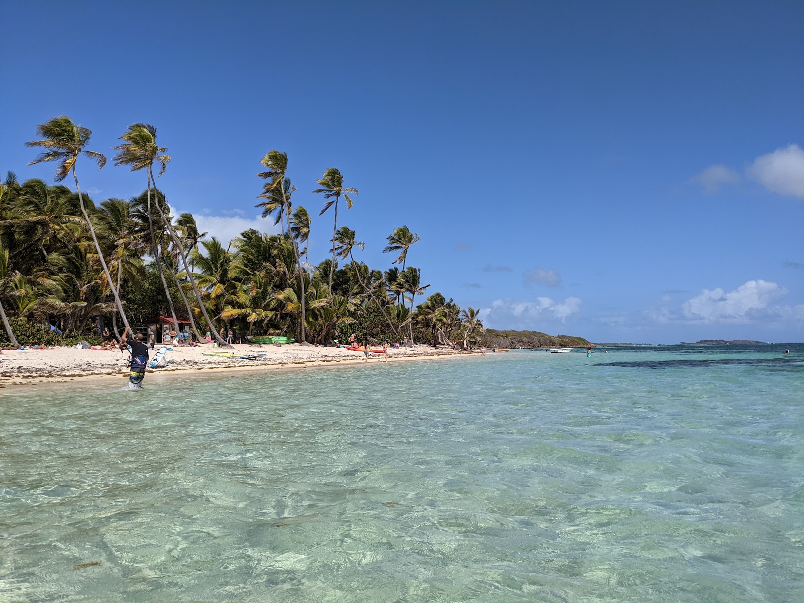 Anse Michel beach'in fotoğrafı biraz temiz temizlik seviyesi ile