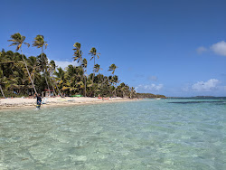 Anse Michel beach'in fotoğrafı biraz temiz temizlik seviyesi ile