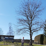 Photo n°1 de l'avis de Nicole.i fait le 15/03/2020 à 15:35 sur le  Der Bachtelweiher Garten à Kempten