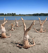 BodyVox - Photo 3 - Car repair in Portland, OR, Portland