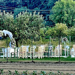 Photo n°1 de l'avis de Giovanna.a fait le 12/09/2021 à 10:25 sur le  Agriturismo Agli Antichi Sapori à Lerici