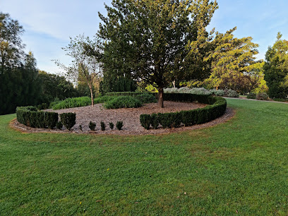 Laptop Repair Service  Dulwich Hill NSW