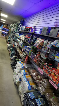 MC Aquatics Conroe - Photo 5 - Car repair in Conroe, TX, The Woodlands