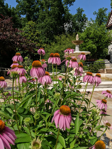 Art Center «Callanwolde Fine Arts Center», reviews and photos, 980 Briarcliff Rd NE, Atlanta, GA 30306, USA