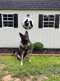 Cross Rifle K9 - Photo 5 - Car repair in , Fredericksburg