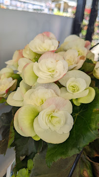 The Home Depot - Photo 6 - Car repair in Saginaw, MI, Saginaw