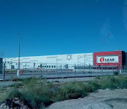 Planta Torreon photo