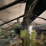 Photo n°13 de l'avis de Alessandro.a fait le 02/07/2021 à 01:33 sur le  Serre dei Giardini Margherita à Bologna