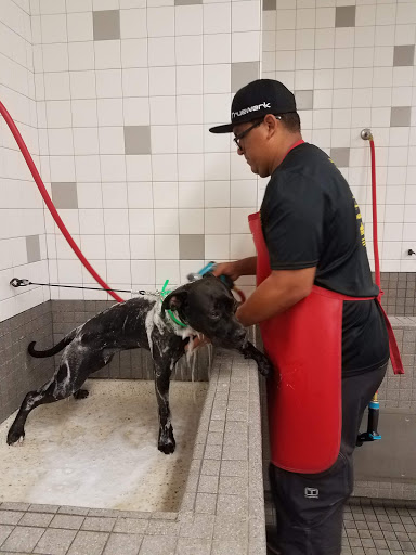 Pet Supply Store «Pet Food Express», reviews and photos, 372 Woodside Rd, Redwood City, CA 94061, USA