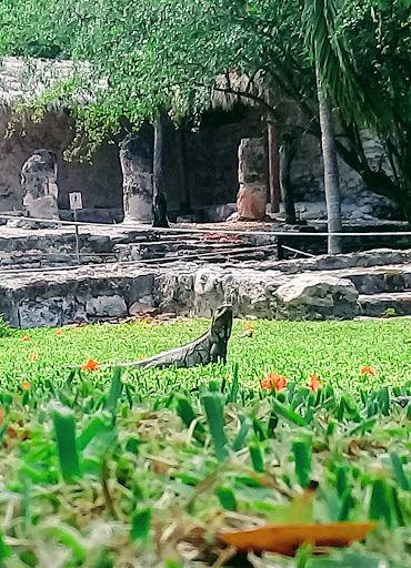 Zona Arqueológica de El Meco