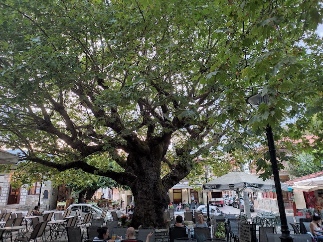 Σχόλια και κριτικές για το Το Καπηλιό του Βασίλη
