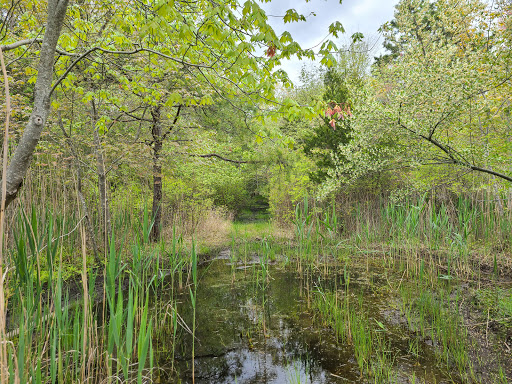 Nature Preserve «Edwin B. Forsythe National Wildlife Refuge- deCamp Wildlife Trail», reviews and photos, 365 Mantoloking Rd, Brick, NJ 08723, USA