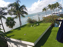 Amaya Landscaping Maintenance & Lawn Care - Photo 5 - Car repair in Miami, FL, Miami