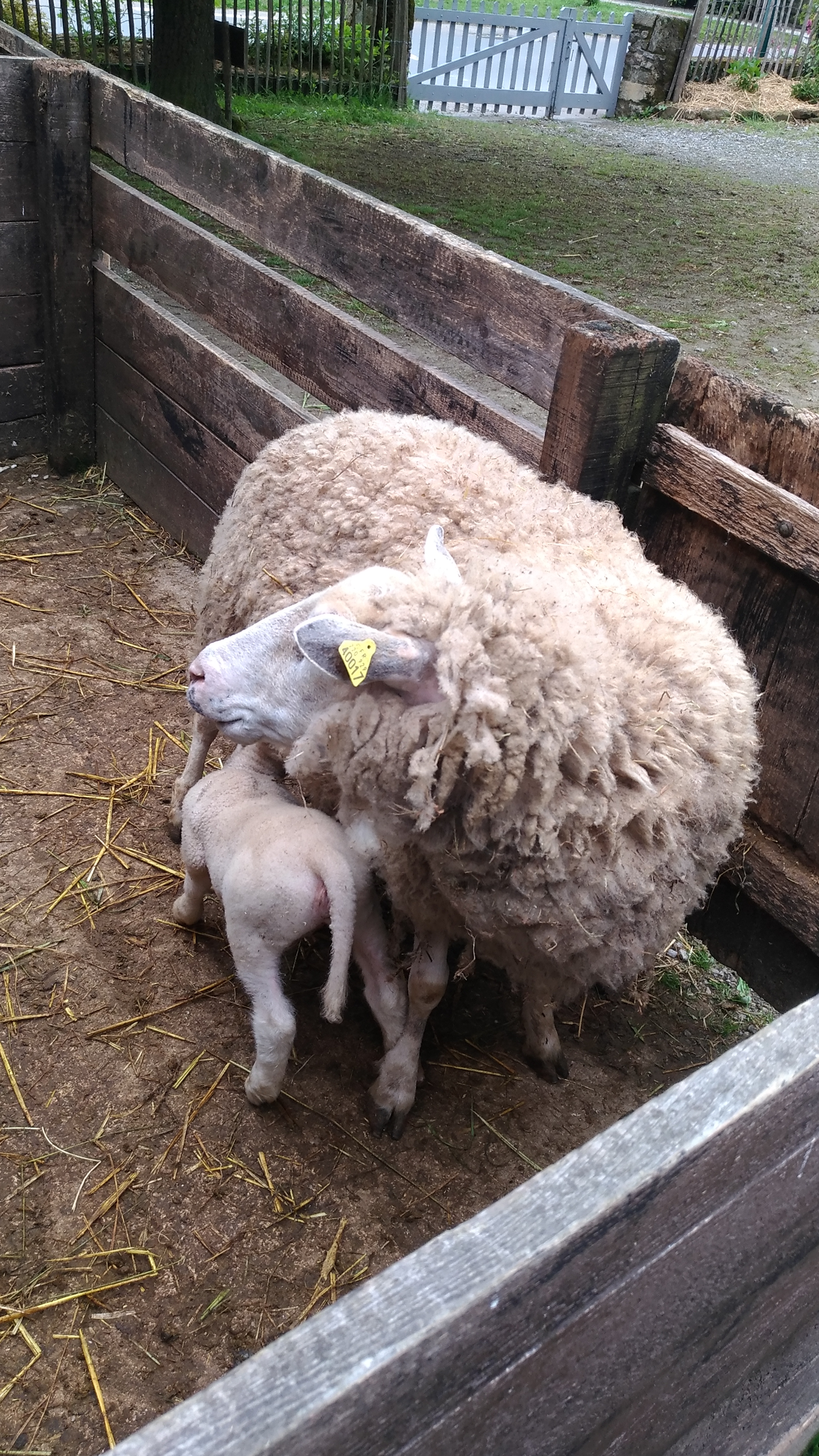 Photo n° 2 de l'avis de Fred.e fait le 22/05/2019 à 05:35
