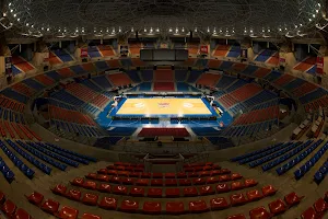 Fernando Buesa Arena image