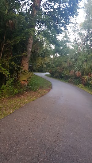 Cross Seminole Trail - Big Tree Park - photo 69