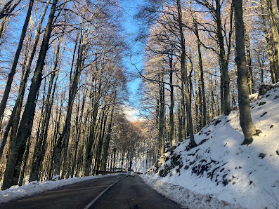 Forca d'Acero 03046 San Donato Val di Comino FR, Italia