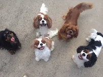 Barkstrom - Car repair in , Nashville - Rated 5.0/5