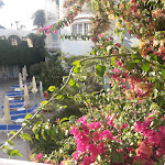 Photo n°9 de l'avis de Paola.i fait le 10/08/2019 à 17:47 sur le  Hotel Continental Terme à Ischia