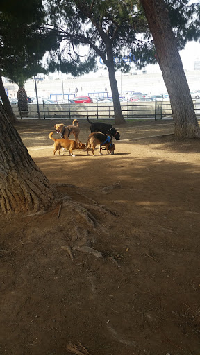Parques para perros Murcia