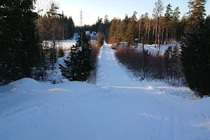 Impivaara cross-country skiing tracks image