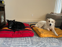 Sit Means Sit Dog Training South Orange County - Photo 8 - Car repair in San Juan Capistrano, CA, Mission Viejo