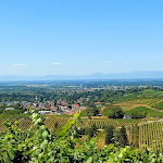 Photo n°44 de l'avis de Jürgen.� fait le 13/07/2018 à 12:01 sur le  Schützenhaus Wolfsgrube à Offenburg