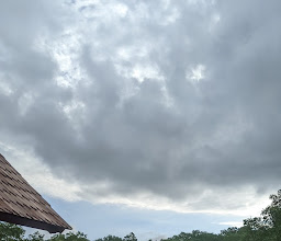 Ekowisata Mangrove Batu Lumbang photo