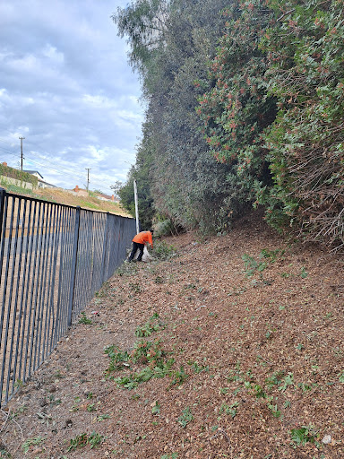Yorba Linda Public Library image