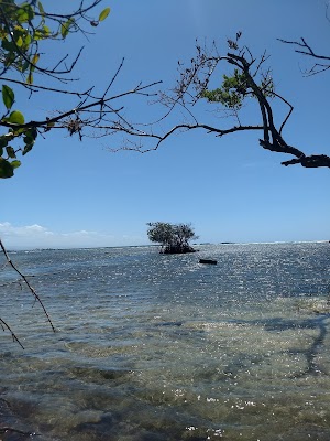 Playa de la Guancha - photo 49