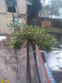 Mercury Property Management - Photo 9 - Car repair in Hampton, VA, Hampton