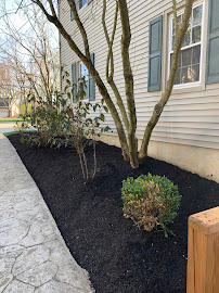 Alvarez Landscaping LLC - Photo 8 - Car repair in Haddonfield, NJ, Philadelphia
