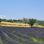 Photo n°1 de l'avis de Alessandro.o fait le 17/06/2021 à 13:14 sur le  Al Casolare à Corinaldo