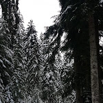 Photo n°4 de l'avis de Reimund.e fait le 28/11/2023 à 08:20 sur le  HOTEL GRÜNER WALD à Freudenstadt