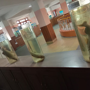 Department Of Fisheries photo