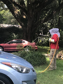 Truly Nolen Pest & Termite Control - Tallahassee - Photo 7 - Car repair in Tallahassee, FL, Tallahassee