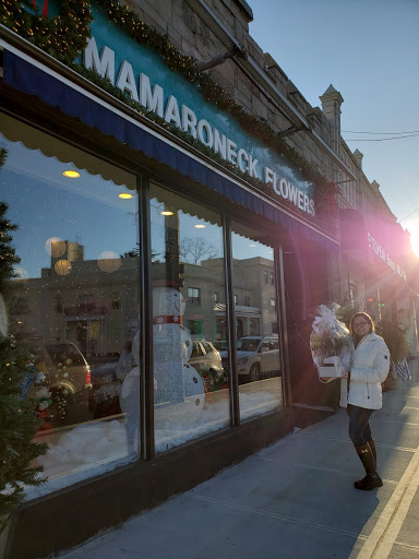 Mamaroneck Flowers, 615 E Boston Post Rd, Mamaroneck, NY 10543, USA, 