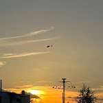 Photo n°3 de l'avis de Gilad.s fait le 27/10/2022 à 12:30 sur le  Restaurant Die Kantina à Freiburg im Breisgau