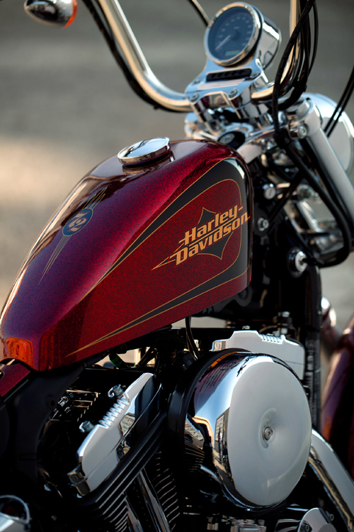 Imagen de Harley-Davidson Girona (8 de 12)