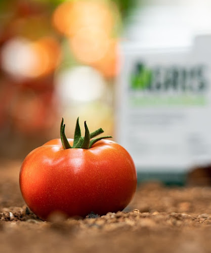 AGRIS Α.Ε. (ΙΕΡΑΠΕΤΡΑ) - Ιεράπετρα