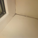 Photo n°8 de l'avis de Jan.e fait le 17/09/2022 à 15:53 sur le  Hotel Ascot Bristol à Potsdam